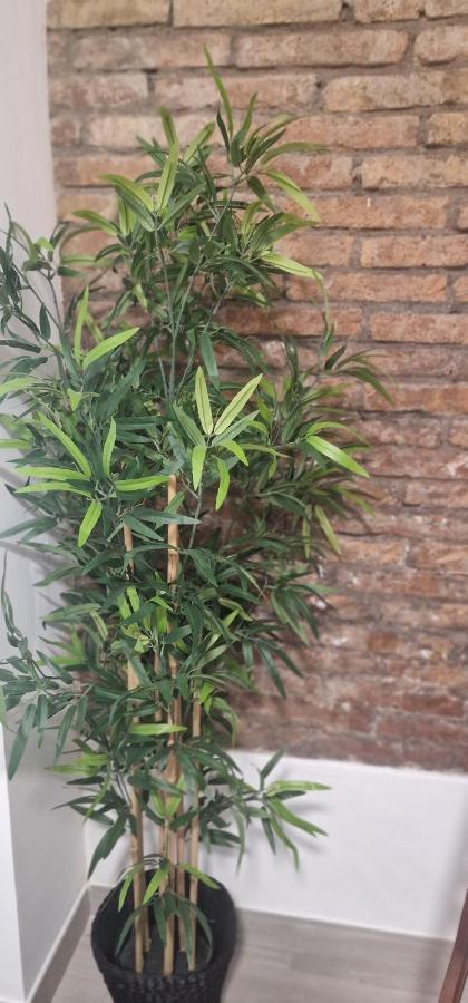 Апартаменты Barcelona,Apartamento Con Terraza Оспиталет-де-Льобрегат Экстерьер фото